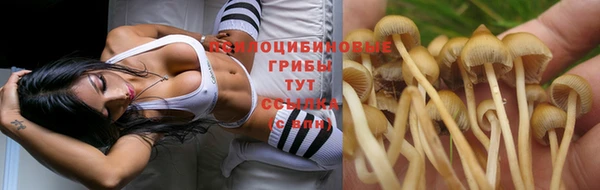 спайс Остров